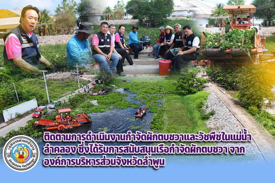 กำจัดผักตบ2567